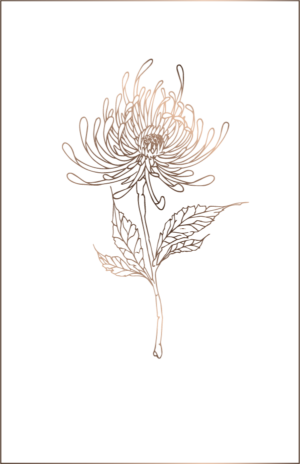 Silk Ribbon ENGEL Crinkled Chiffon - Image 2