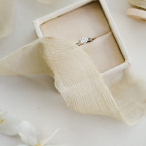 Silk ribbon SAND Crinkled Chiffon - Image 7