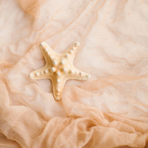 Dekostoff Chiffon Nude